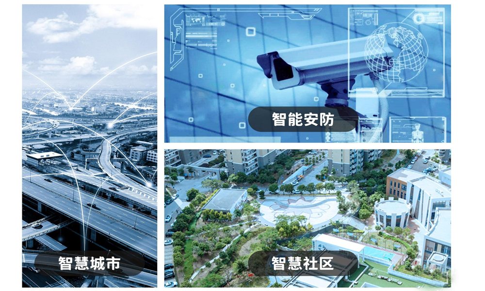 AI视频分析应用