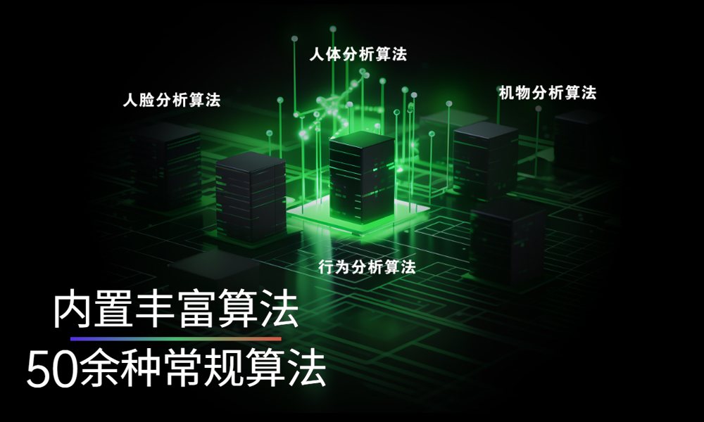 50余种AI识别算法