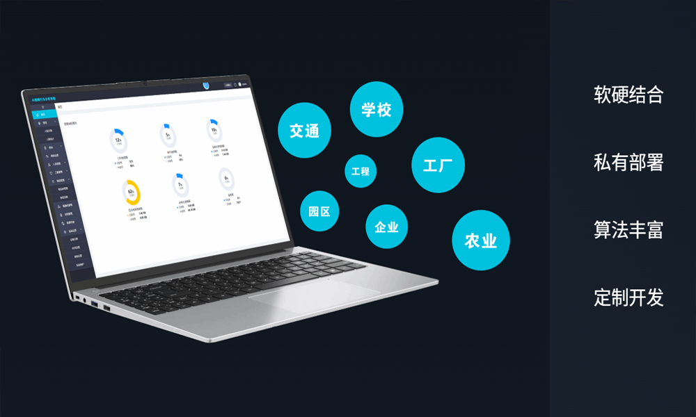 AI视频行为分析系统软件